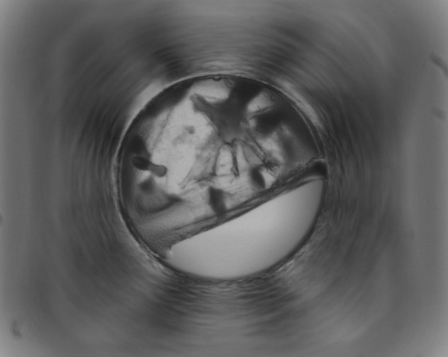 X0000095131291200801041238