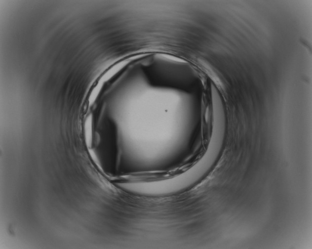 X0000095131292200801041238