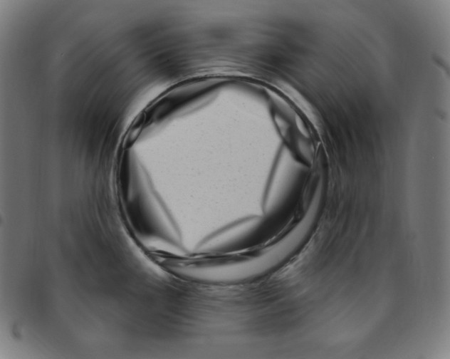 X0000095131293200801041238