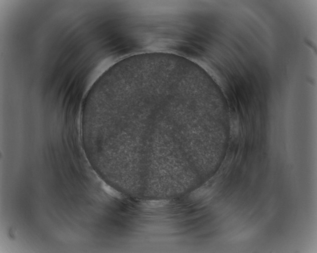 X0000095131294200801041237