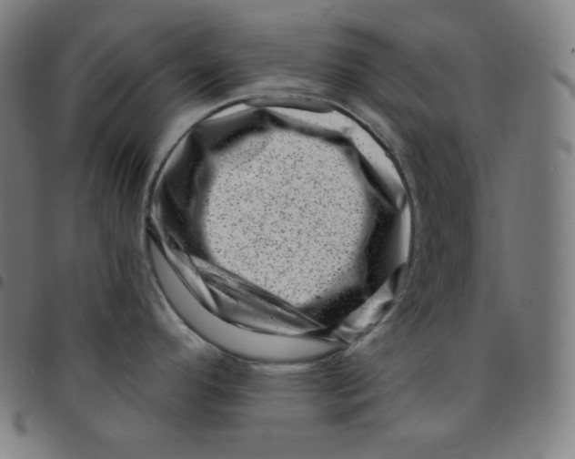 X0000095131296200801041237