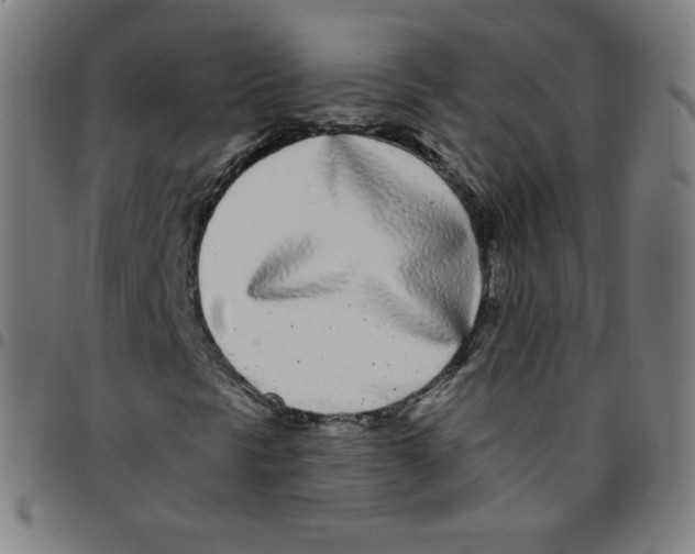 X0000095131297200801041237