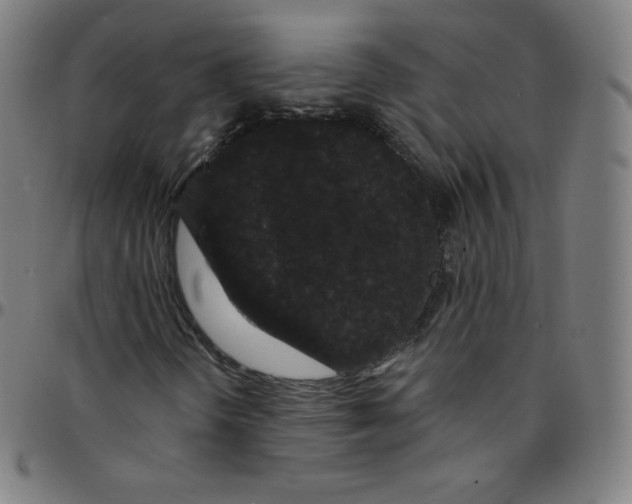 X0000095131298200801041237