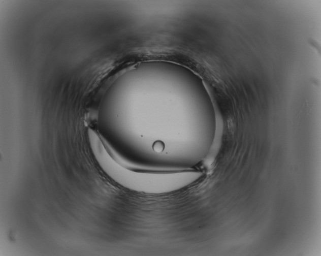 X0000095131300200801041237