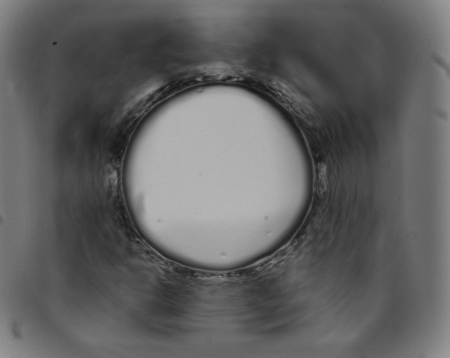 X0000095131302200801041237