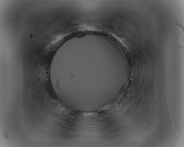 X0000095131303200801041237