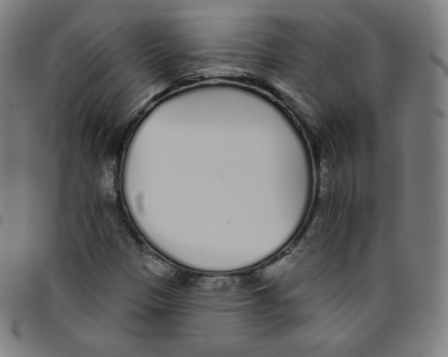 X0000095131305200801041237