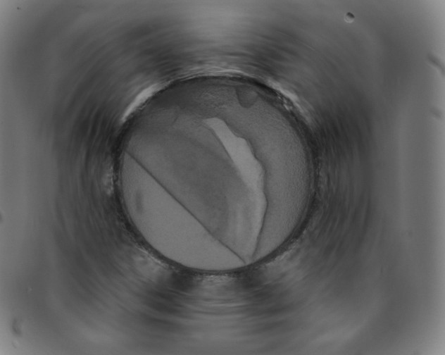 X0000095131306200801041237