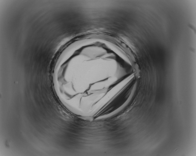 X0000095131308200801041237