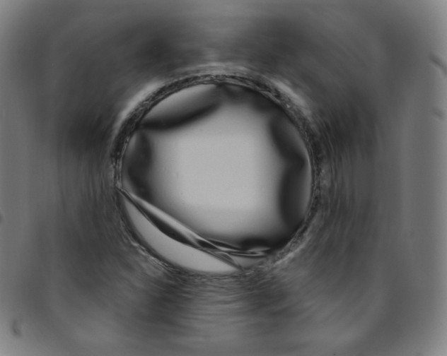 X0000095131310200801041237