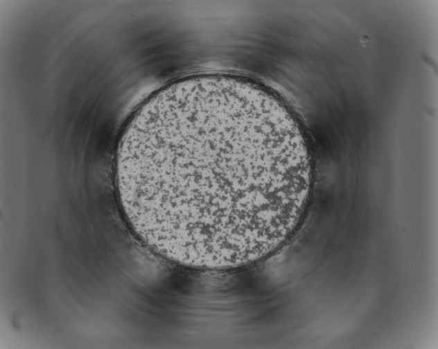 X0000095131314200801041237