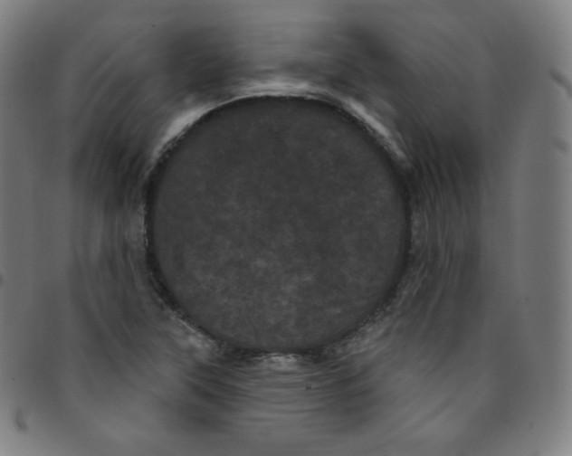 X0000095131315200801041237