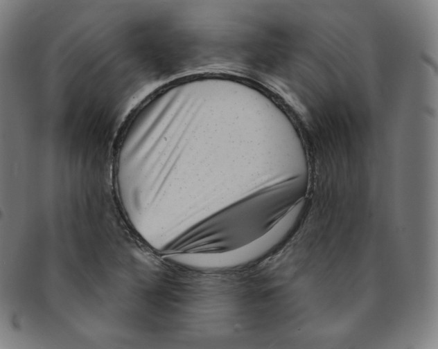 X0000095131316200801041237