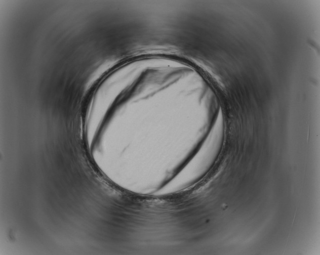 X0000095131317200801041237