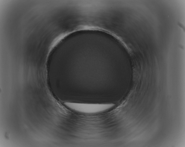 X0000095131319200801041237