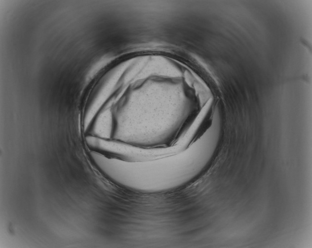 X0000095131320200801041237