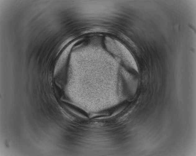 X0000095131321200801041237