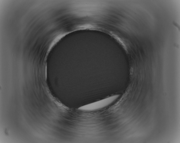 X0000095131323200801041237