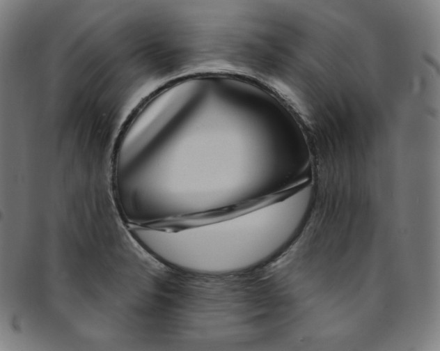 X0000095131326200801041237