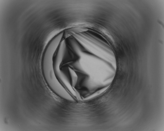 X0000095131328200801041237