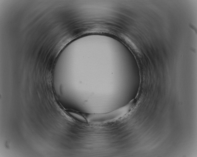 X0000095131329200801041237