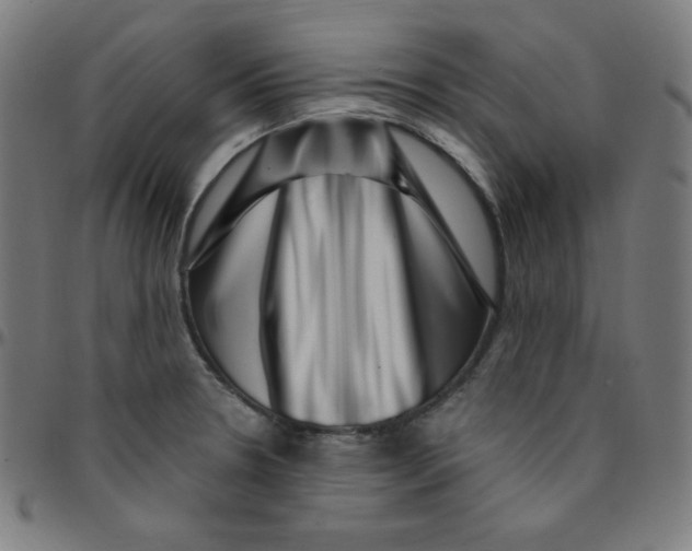 X0000095131330200801041237