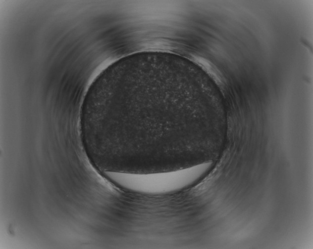 X0000095131331200801041237