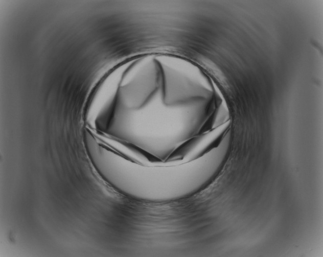 X0000095131332200801041237