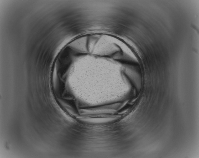 X0000095131333200801041237