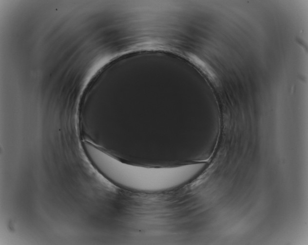 X0000095131334200801041237