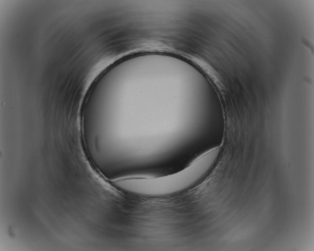 X0000095131335200801041237