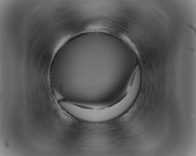 X0000095131336200801041237