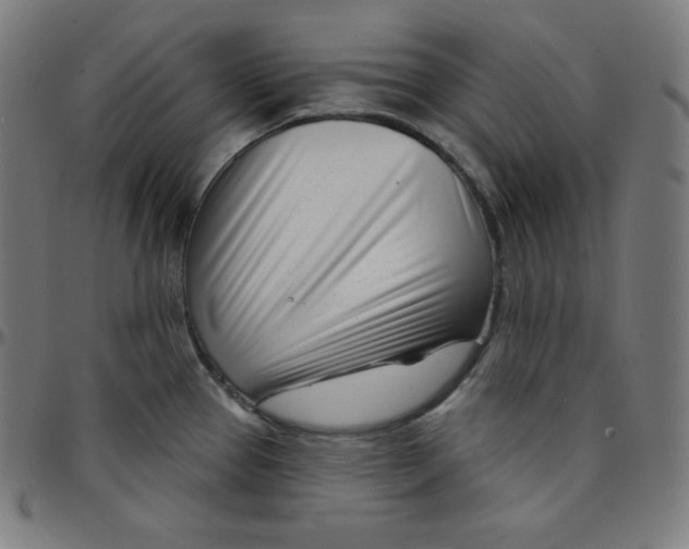 X0000095131337200801041237