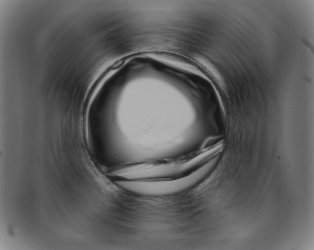 X0000095131340200801041237