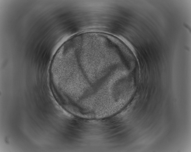 X0000095131341200801041237