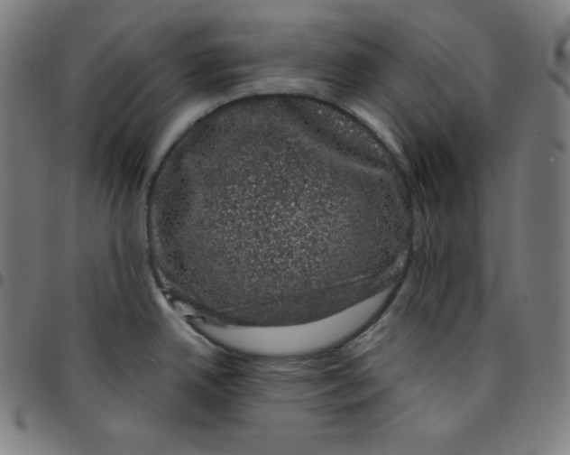 X0000095131342200801041237