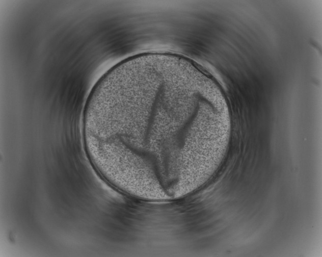 X0000095131343200801041237