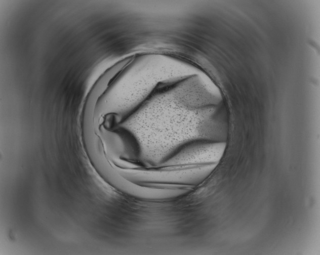 X0000095131344200801041237