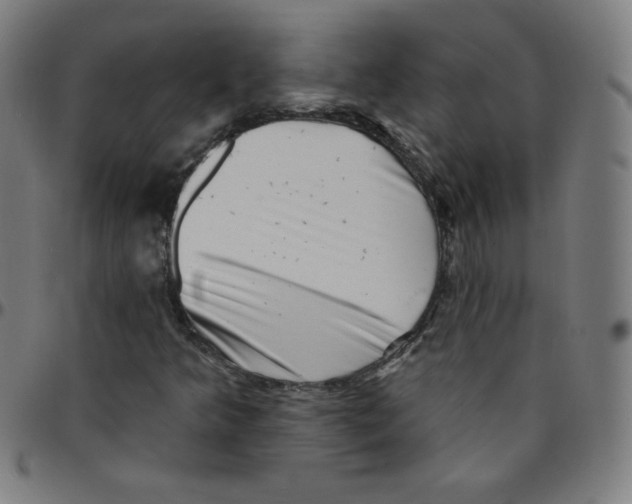 X0000095131349200801041237