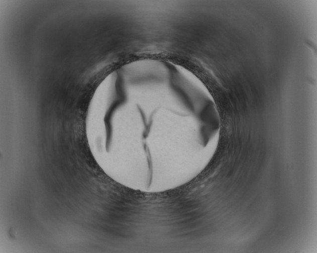 X0000095131350200801041237