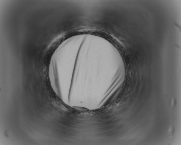 X0000095131351200801041237