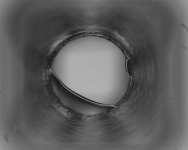 X0000095131352200801041237