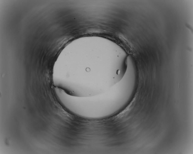 X0000095131353200801041237