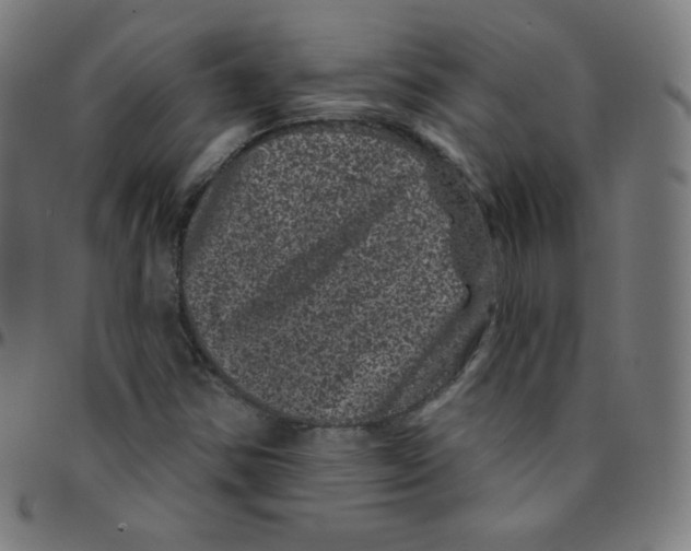 X0000095131354200801041237