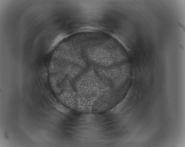 X0000095131355200801041237