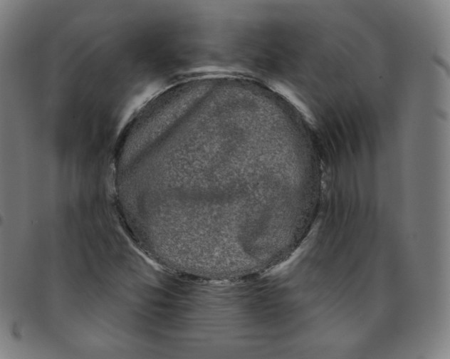 X0000095131357200801041237