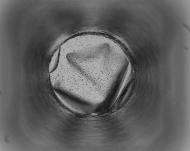 X0000095131359200801041237