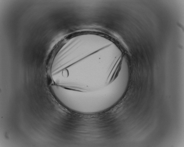 X0000095131360200801041237