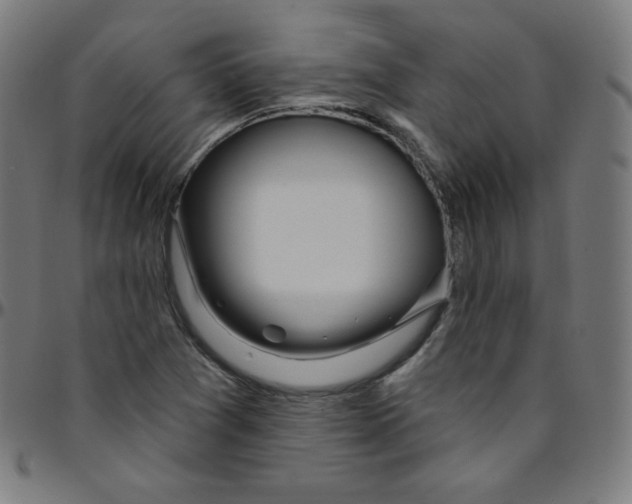 X0000095131361200801041237