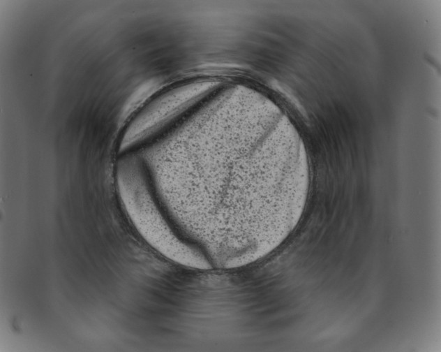 X0000095131362200801041237